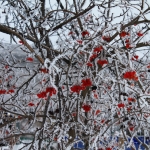 Карта Луганска - Фотографии - Современные, Профессиональные, Зима, Цветные