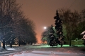 Зимний парк, Современные, Профессиональные, Ночь, Зима, Снег, Цветные