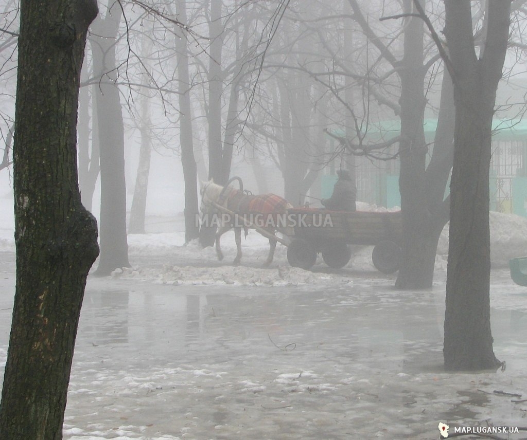 Ровеньки, 2010 год, Современные, Любительские, Зима, День, Туман, Цветные