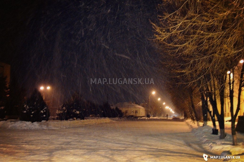 Парк, 2014 год, Современные, Профессиональные, Ночь, Зима, Снег, Цветные