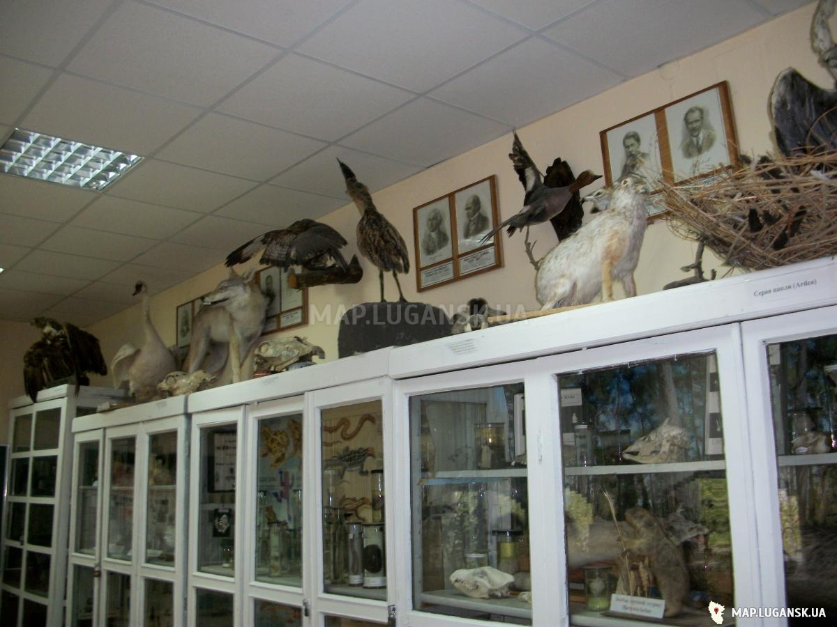 Зоологический музей Луганского университета, Современные, Достопримечательности, Цветные