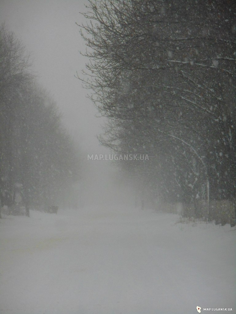 Луганск, 30 ноября 2014 год, Зима, День, Снег