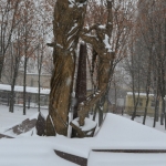 Карта Луганска - Фотографии - Современные, Любительские, Зима