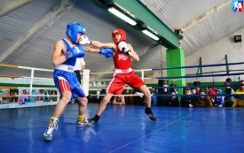 Команды из шести городов и двух поселков ЛНР приняли участие в открытом детско-юношеском турнире по боксу.
