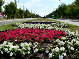 Весной в Луганске будут высажены сотни новых цветов.