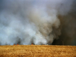 В Луганске 7 сентября объявлен 4-й класс пожарной опасности