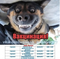 В ЛНР с 25 по 28 апреля проводят акцию по проведению бесплатной вакцинации собак и кошек против вируса бешенства.