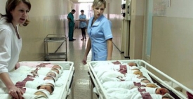 Семья луганчан пополнилась 70 малышами.